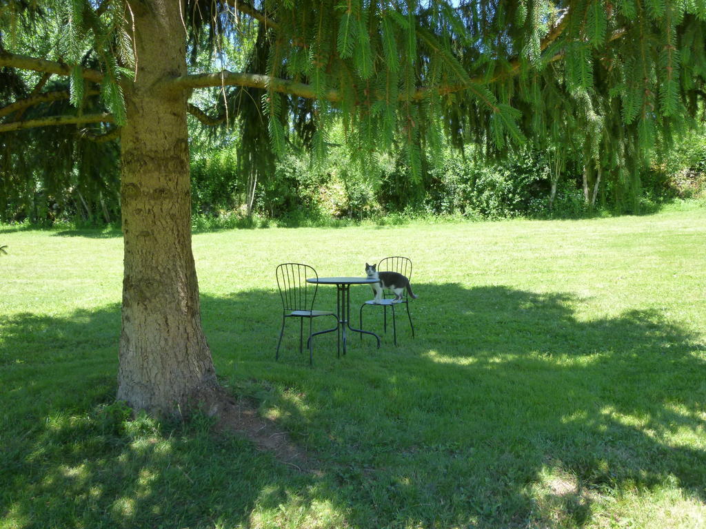 Au Mas De Gamet Bed and Breakfast Théminettes Exteriör bild