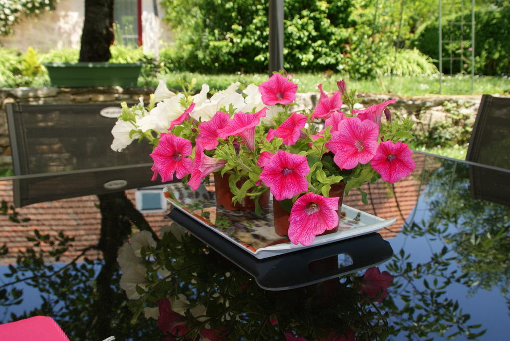 Au Mas De Gamet Bed and Breakfast Théminettes Exteriör bild